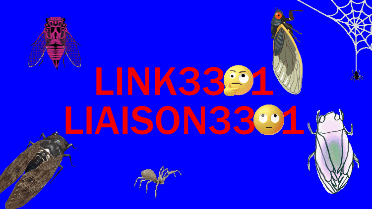 File:51312871acef2a2f62d2.gif